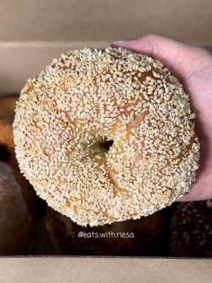 Backyard Bagel by null
