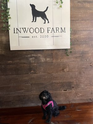 Inwood Farm by null