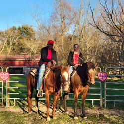 Horse Rides of Pensacola