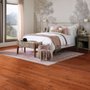 Photo of Accent Carpet & Tile