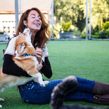 Club K9 - Individual personalized attention! - Pet Boarding Near Me - Sunol, California Club K9 - Individual personalized attention! - Pet Boarding Near Me - Sunol, California