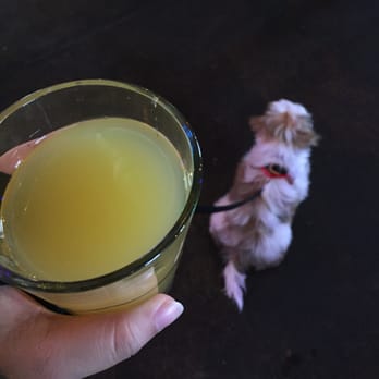 Boxcar Bar + Arcade - Having a double mimosa, while hanging with my pup! - Bars Near Me - Raleigh, North Carolina Boxcar Bar + Arcade - Having a double mimosa, while hanging with my pup! - Bars Near Me - Raleigh, North Carolina