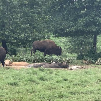 Nova Wild - Petting Zoos Near Me - Vienna, Virginia