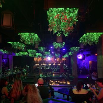 Beetle House LA - Beautiful inside - New American Near Me - Los Angeles, California Beetle House LA - Beautiful inside - New American Near Me - Los Angeles, California