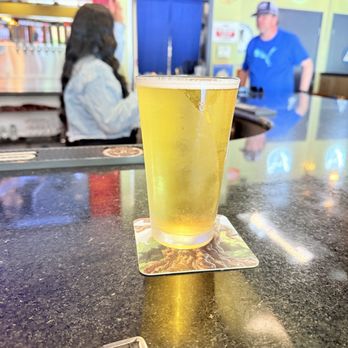 Hop Junction - Burgers Near Me - Sacramento, California