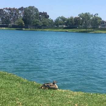 North Lake Park - Parks Near Me - Irvine, California