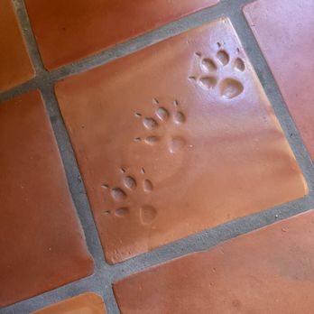 Chalmers - Two terracotta tiles with paw print impressions are part of a tiled floor, surrounded by other plain tiles. - Bars Near Me - Austin, Texas
