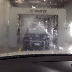 Beetle bath day!