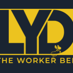 Lyd The Worker Bee - That's affordable family law