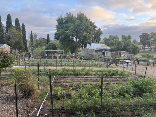 Olivewood Gardens and Learning Center by null