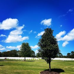 Cape Canaveral National Cemetery - Site