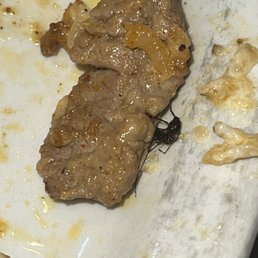 Two mosquitos in our food
