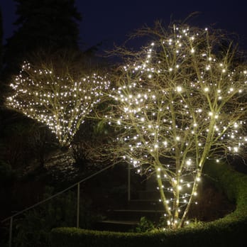Light Knights Lighting - Vancouver Christmas Light Installation - Tree - Lighting Fixtures & Equipment Near Me - Vancouver, British Columbia Light Knights Lighting - Vancouver Christmas Light Installation - Tree - Lighting Fixtures & Equipment Near Me - Vancouver, British Columbia
