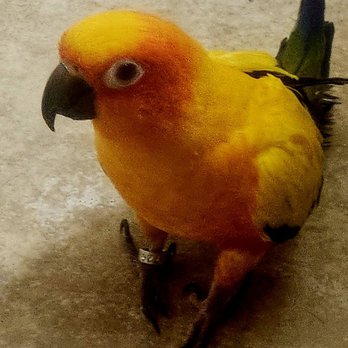 Tropic Zone - Pet Groomers Near Me - Phoenix, Arizona