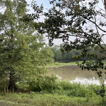 Waverly Pond - Parks Near Me - Tallahassee, Florida Waverly Pond - Parks Near Me - Tallahassee, Florida