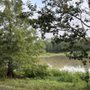 Waverly Pond
