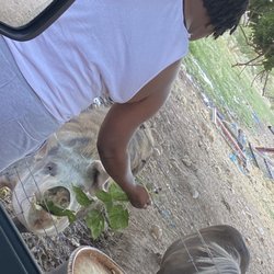 Aravada Springs - Aravada Mini Zoo