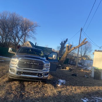 DF Landworx - Tree Services Near Me DF Landworx - Tree Services Near Me
