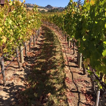 Goldeneye Winery - Wineries Near Me - Philo, California Goldeneye Winery - Wineries Near Me - Philo, California