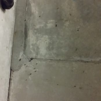 Safeguard Self Storage - Bugs in the unit water bugs the manager dawn says their box bugs. I know water bugs these are them so much for pest control - Self Storage Near Me - Palatine, Illinois