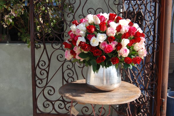 Cebolla Fine Flowers by null