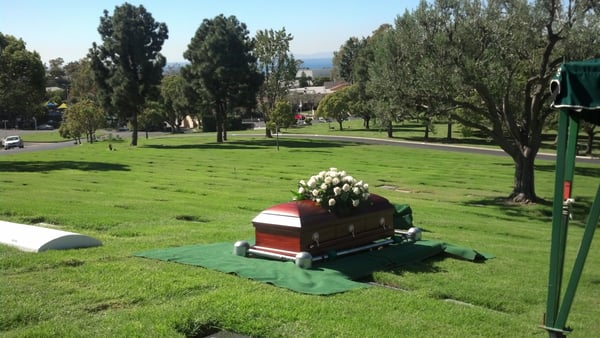 REFLECTIONS FUNERAL SERVICES - Updated May 2026 - 15 Photos & 26