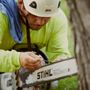 Photo of Winkler Tree & Lawn Care