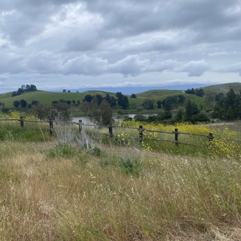 Ed R. Levin County Park - Dog Parks Near Me - Milpitas, California