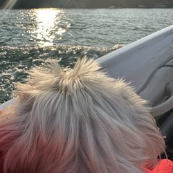 Torch Lake Pontoon Rentals - Enjoying the View
