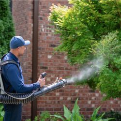 Rocket Pest Control