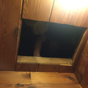 Morgenroth's Home Inspections - He's a friendly face even while in a stuffy attic. - Home Inspectors Near Me