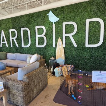Yardbird - Adoption Event!! - Outdoor Furniture Stores Near Me - Lone Tree, Colorado Yardbird - Adoption Event!! - Outdoor Furniture Stores Near Me - Lone Tree, Colorado
