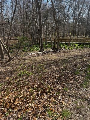 Elizabeth A. Morton National Wildlife Refuge by null