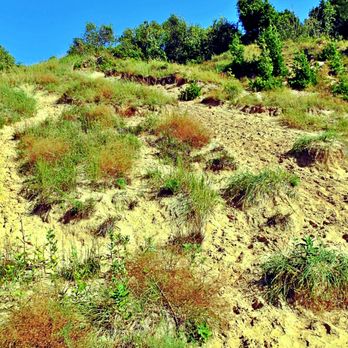 Empire Bluff Trail - Hiking Near Me