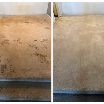 Steve's Carpet Cleaning - Carpet Cleaning Near Me - Canby, Oregon Steve's Carpet Cleaning - Carpet Cleaning Near Me - Canby, Oregon