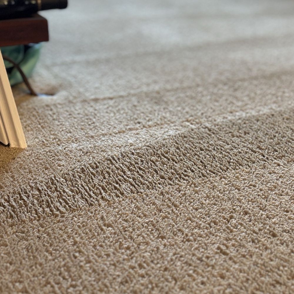 Quality Carpet Care - Carpet Cleaning Near Me - Temple City, California Quality Carpet Care - Carpet Cleaning Near Me - Temple City, California