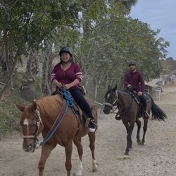 Horse Play Rentals