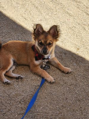 Merry Edwards Winery by null