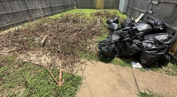 WE-HAUL JUNK - Updated December 2025 - 63 Photos - Dallas, Texas - Junk
