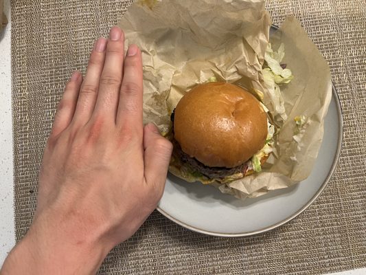 Little Big Burger by null