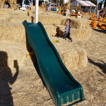 Queens Pumpkin Patch - Slide - Pumpkin Patches Near Me - Saratoga, California
