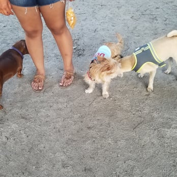 Modesto Dog Park - Dog Parks Near Me - Modesto, California Modesto Dog Park - Dog Parks Near Me - Modesto, California