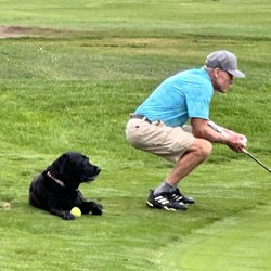 Tahoe City Golf Course - Pooch helping line up a putt!