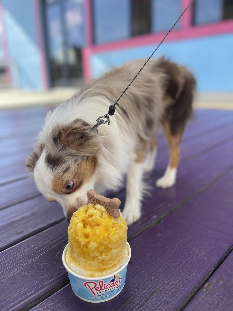 Pelican's Snoballs of Marion Logo