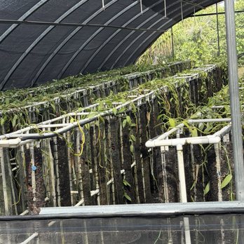 The Vanillerie - Attraction Farms Near Me - Kailua-Kona, Hawaii