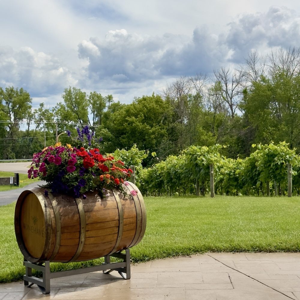 Winehaven Winery - View from front patio - Wineries Near Me - Chisago City, Minnesota