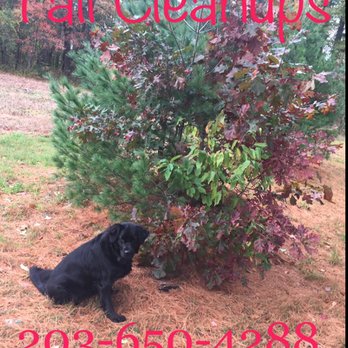 Russ Landscape Services - Landscaping Near Me Russ Landscape Services - Landscaping Near Me