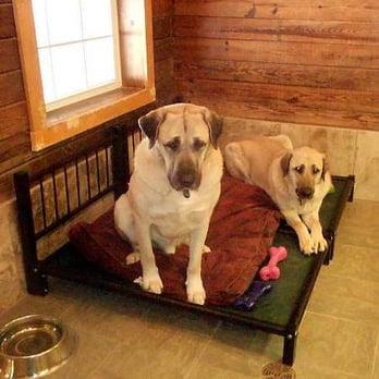 milton manor boarding