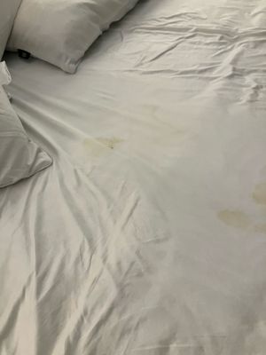 Bluewater Resort by null