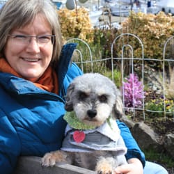 Chris Grams Chiropractic & Massage - Dr. Chris & Libby, the office/therapy dog